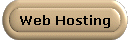  Web Hosting 